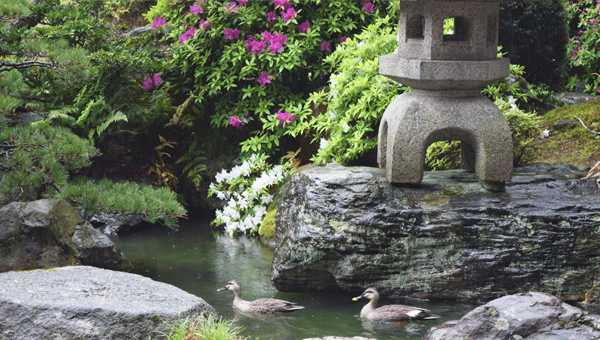 Kyokusui Garden